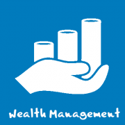 wealth-management-icon_bsg