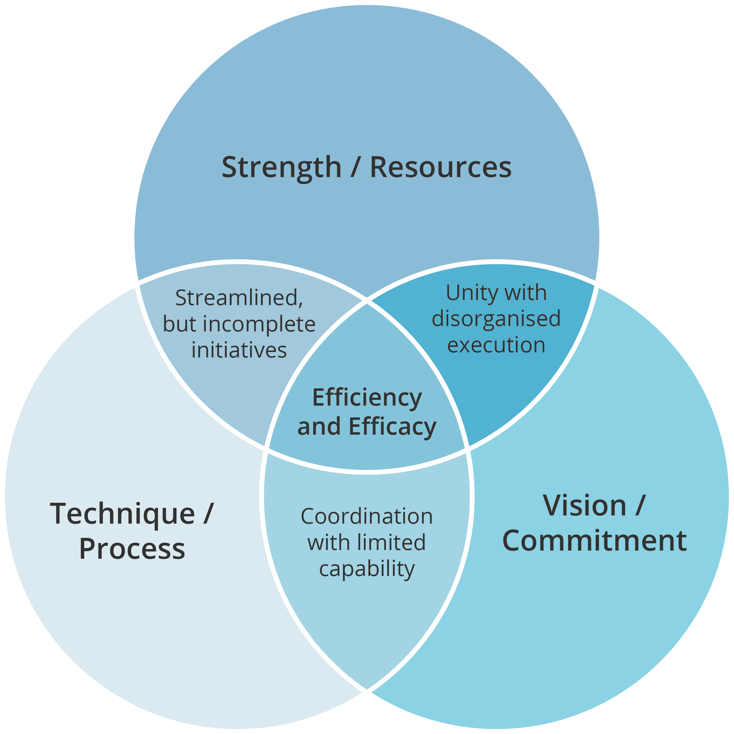 resources process and vision